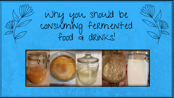 Why you should be making & consuming fermented foods.